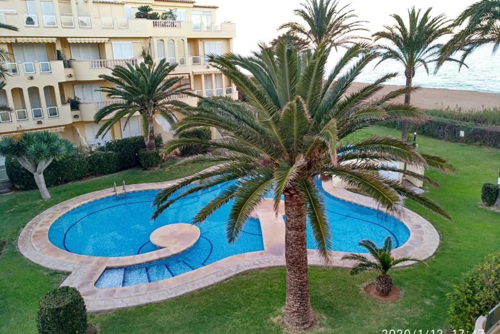 Estupendo Apartamento En Primera Linea De Playa Y Con Vistas Al Mar 德尼亚 外观 照片