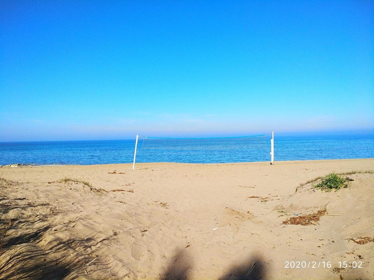 Estupendo Apartamento En Primera Linea De Playa Y Con Vistas Al Mar 德尼亚 外观 照片