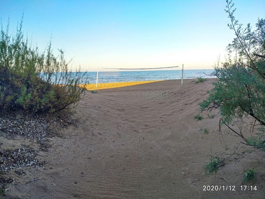Estupendo Apartamento En Primera Linea De Playa Y Con Vistas Al Mar 德尼亚 外观 照片